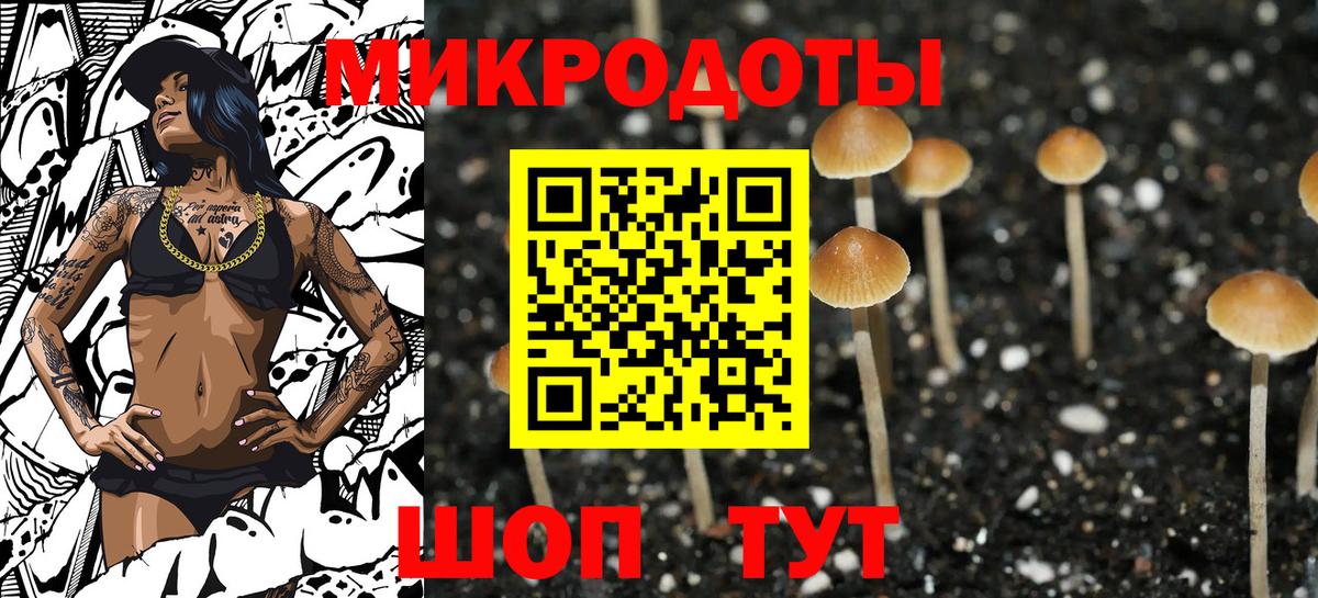 Псилоцибиновые грибы прущие грибы Новый Уренгой