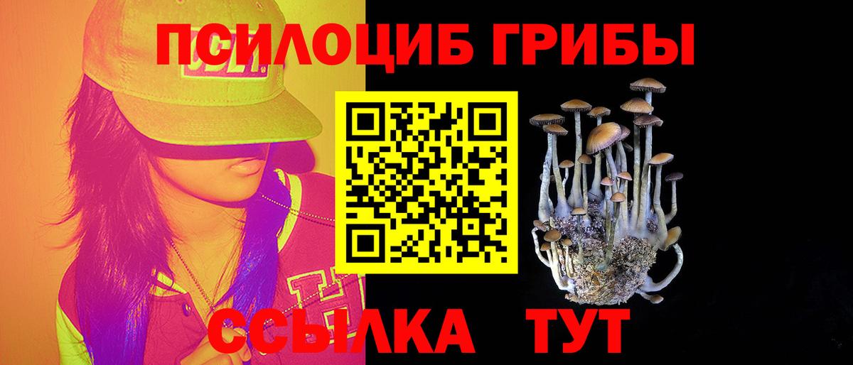 Псилоцибиновые грибы ЛСД  Вход с VPN  Новый Уренгой 
